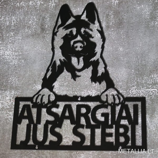 Atsargiai jus stebo šuo - akita
