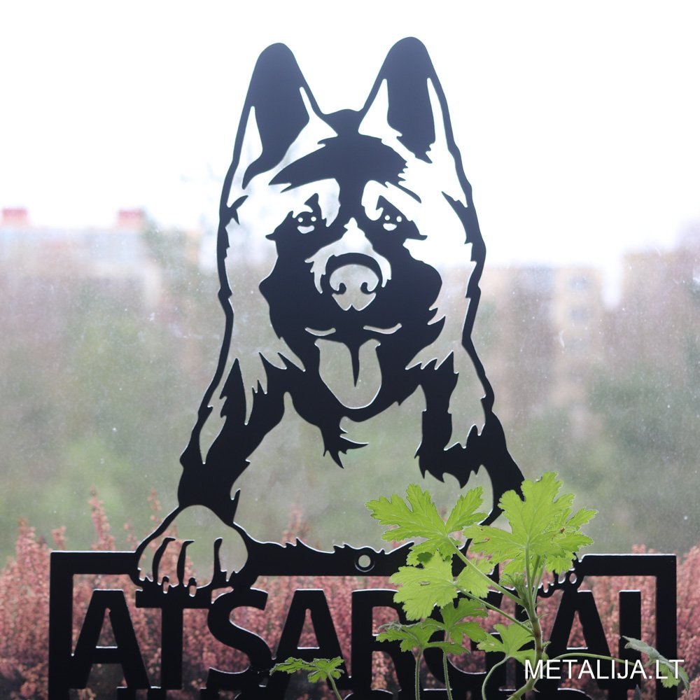 Atsargiai šuo - akita